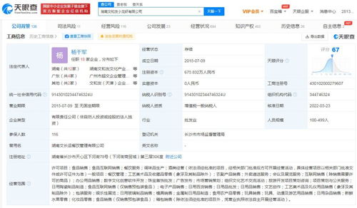 数字文化创意软件开发 融合科技与艺术的创新引擎