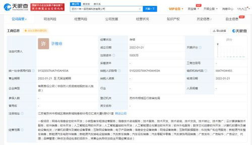 数字文化创意软件开发 融合科技与艺术的创新之路